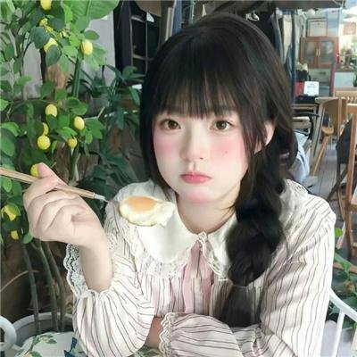 大象之梦